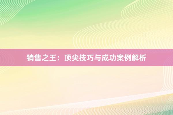 销售之王：顶尖技巧与成功案例解析