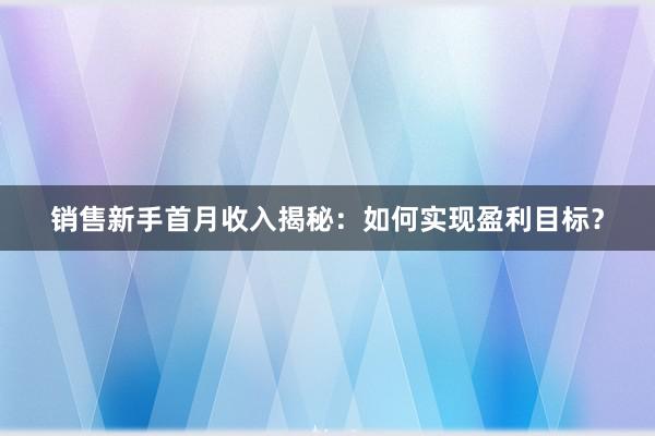 销售新手首月收入揭秘：如何实现盈利目标？